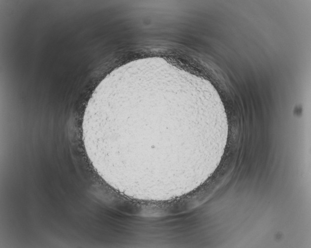 X0000116480461201001201346