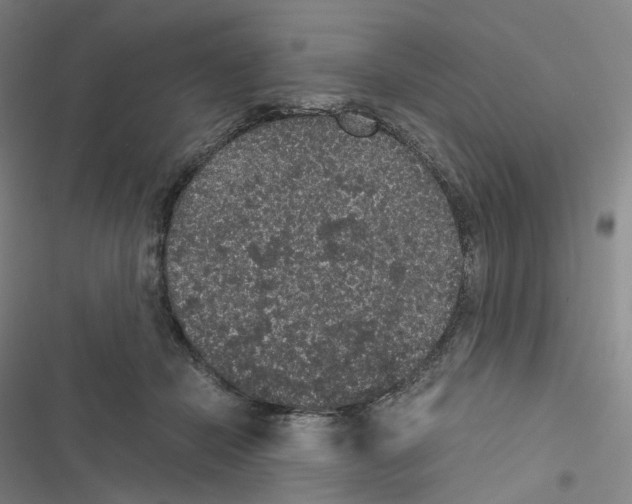 X0000116480462201001201346