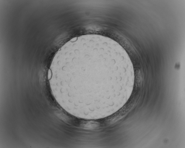 X0000116480463201001201346