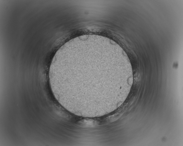 X0000116480464201001201346