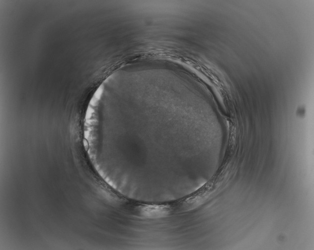 X0000116480465201001201346