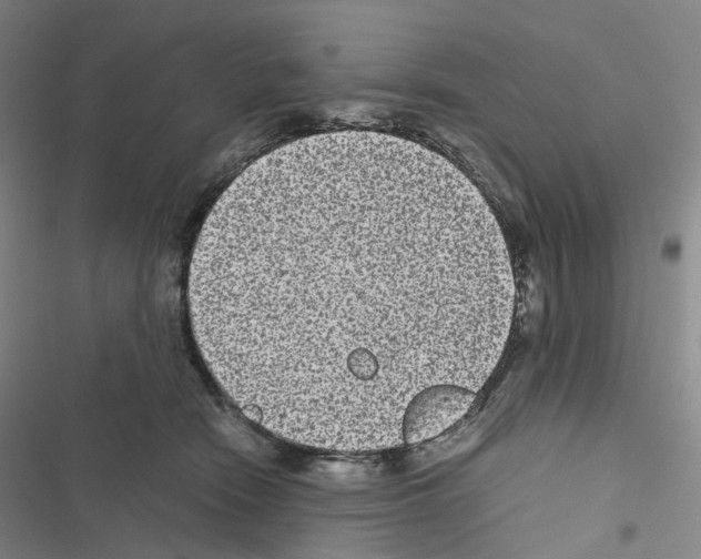 X0000116480466201001201346