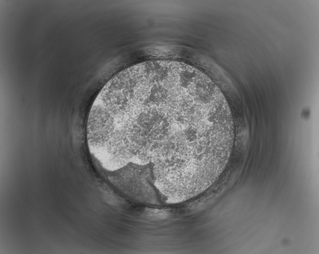 X0000116480469201001201346
