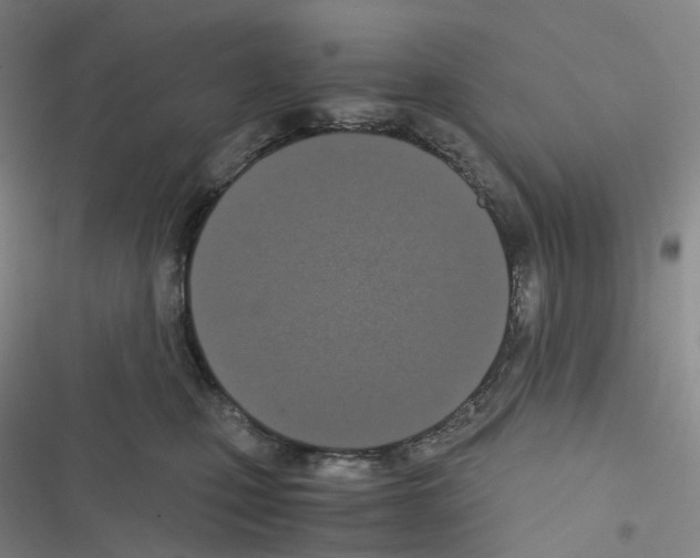 X0000116480471201001201346