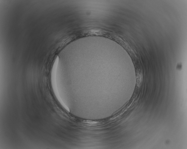 X0000116480472201001201346