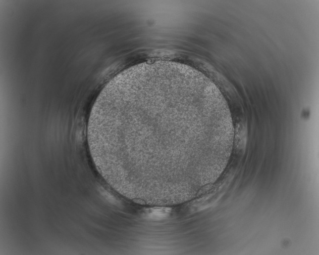 X0000116480474201001201346