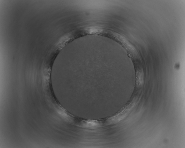 X0000116480475201001201346