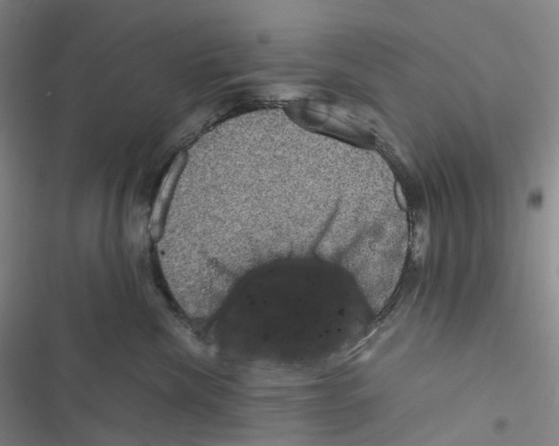 X0000116480476201001201346