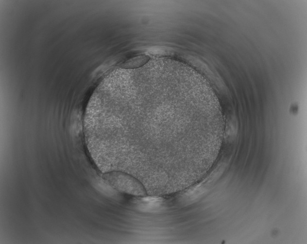 X0000116480478201001201346