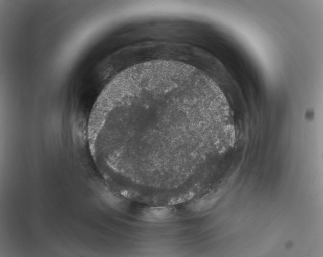 X0000116480479201001201346