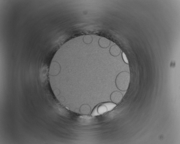 X0000116480480201001201346