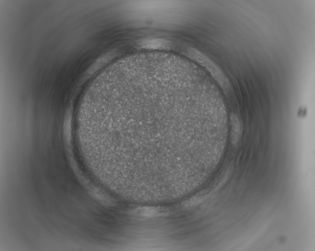 X0000116480482201001201345
