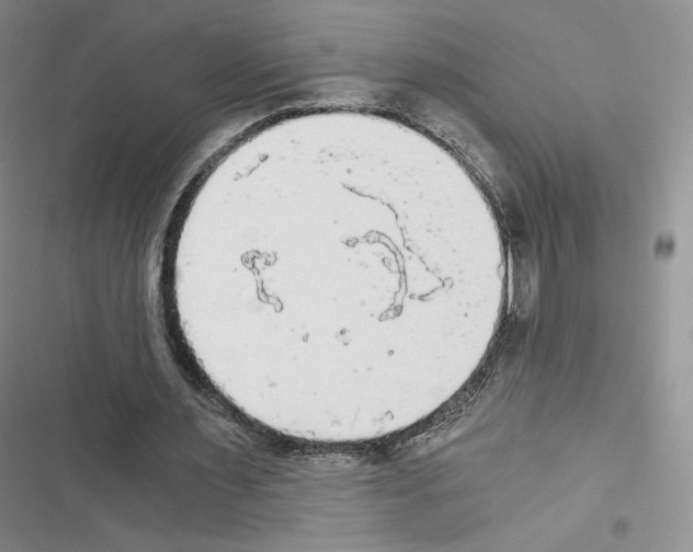 X0000116480483201001201345