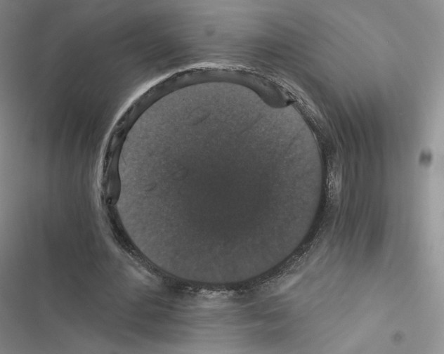 X0000116480484201001201345