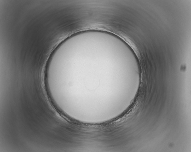 X0000116480485201001201345