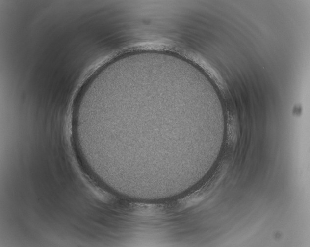X0000116480486201001201345