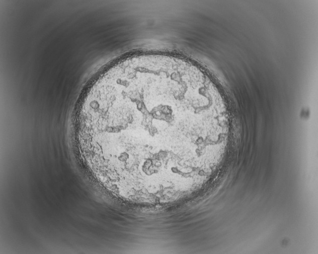 X0000116480487201001201345
