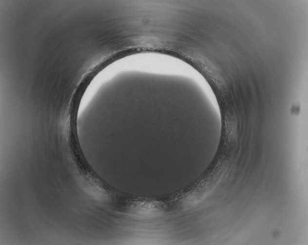 X0000116480488201001201345
