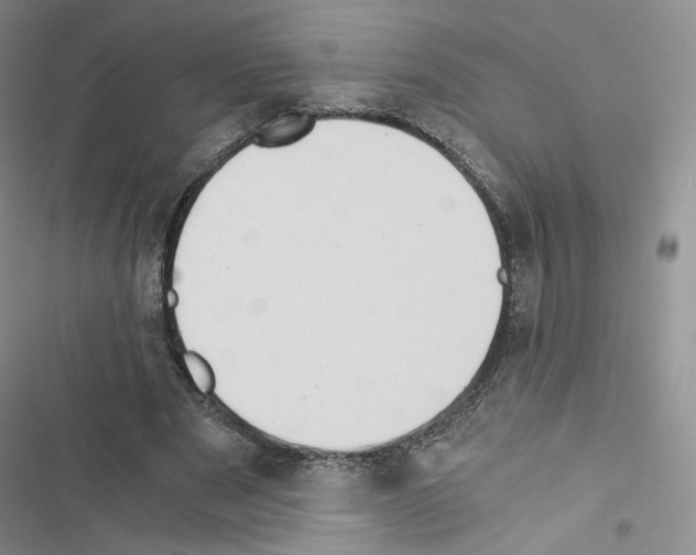 X0000116480489201001201345