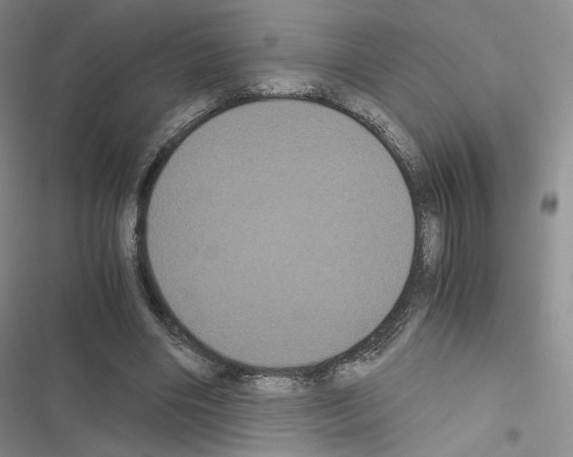 X0000116480490201001201345