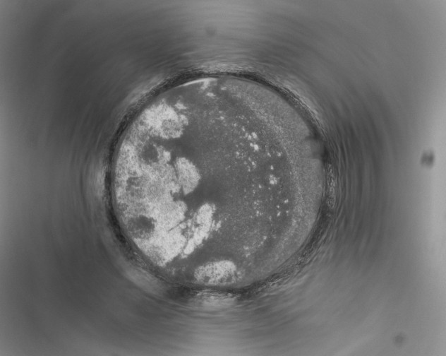 X0000116480491201001201345