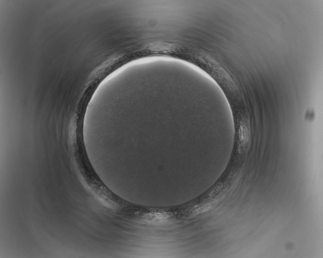 X0000116480492201001201345