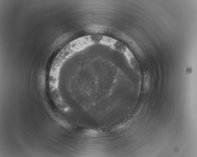 X0000116480494201001201345