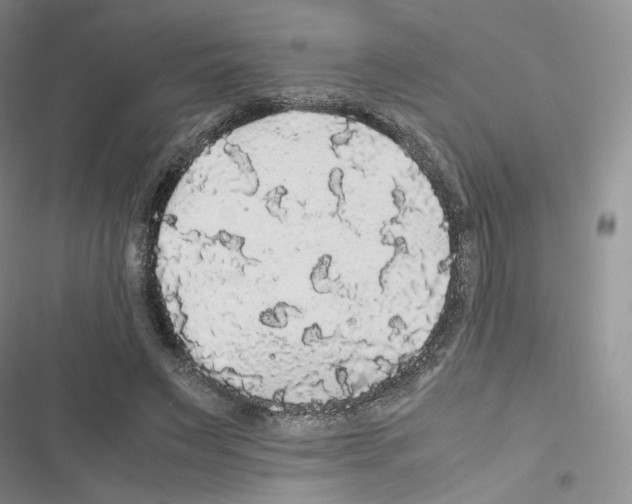 X0000116480495201001201345