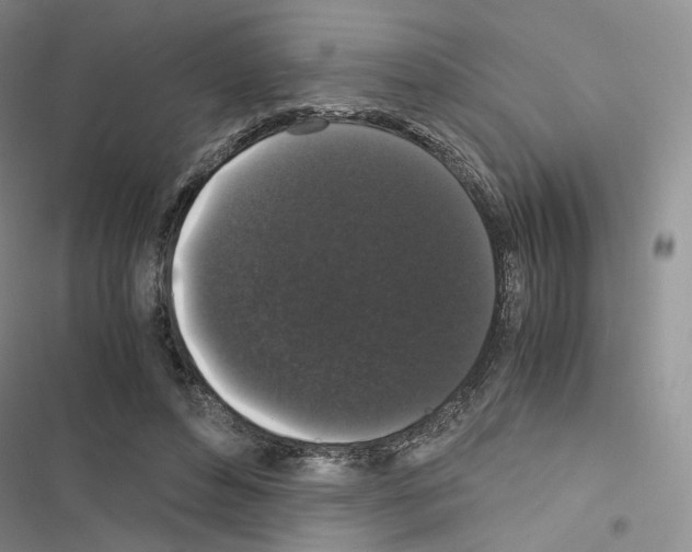 X0000116480496201001201345