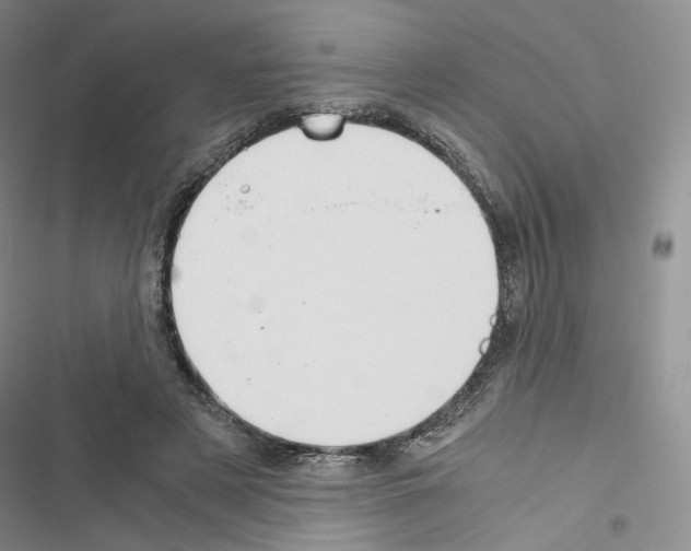 X0000116480497201001201345