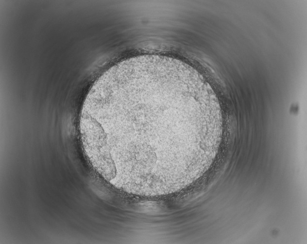 X0000116480499201001201345