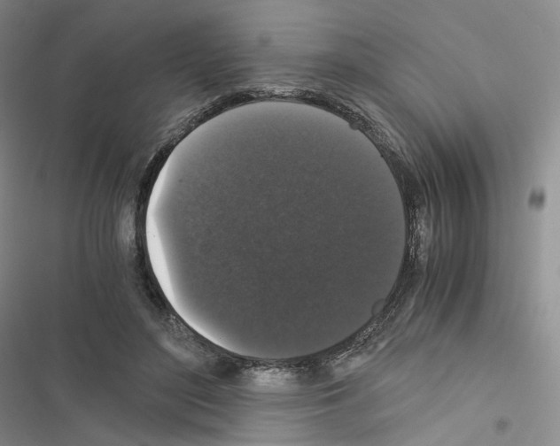 X0000116480500201001201345