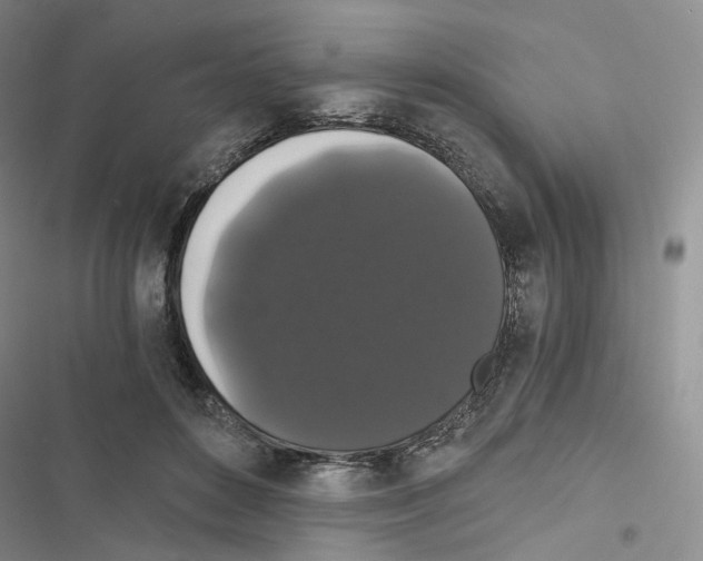 X0000116480504201001201345
