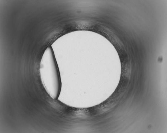 X0000116480505201001201345