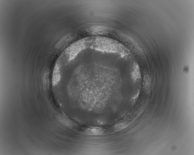 X0000116480506201001201345