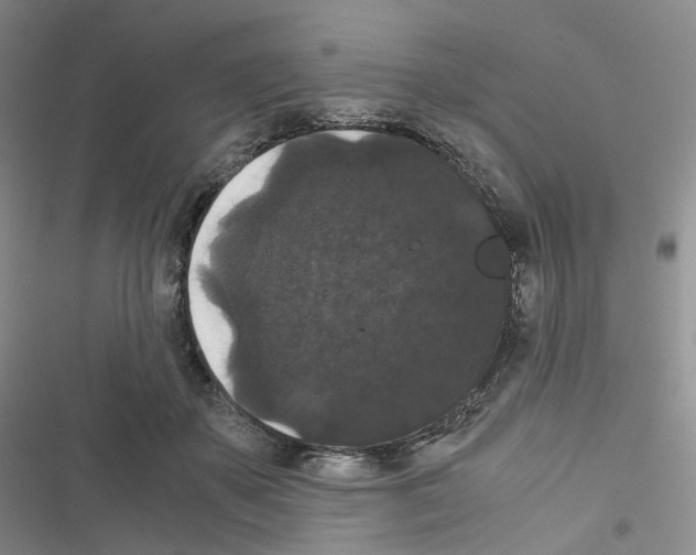 X0000116480507201001201345