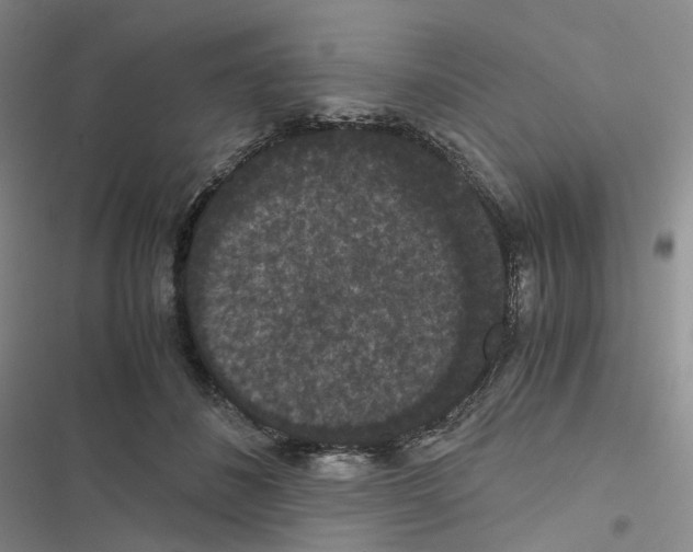X0000116480508201001201345