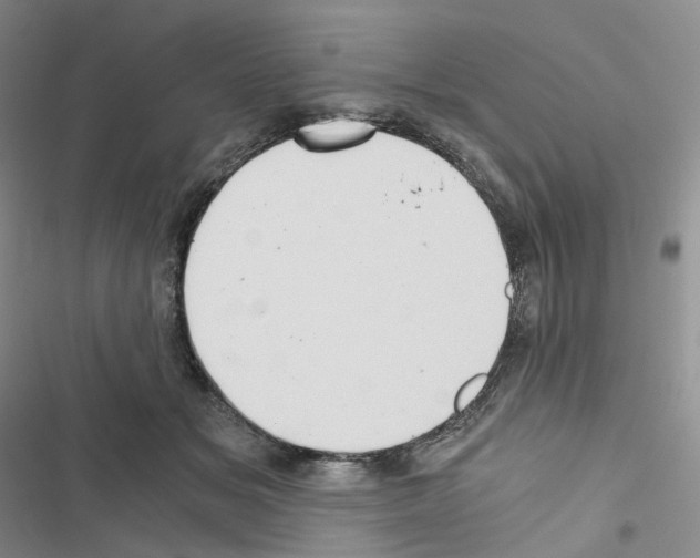 X0000116480509201001201345