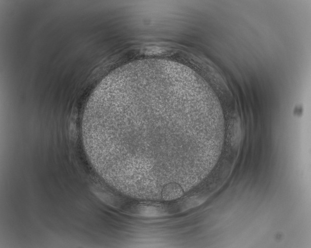 X0000116480510201001201345