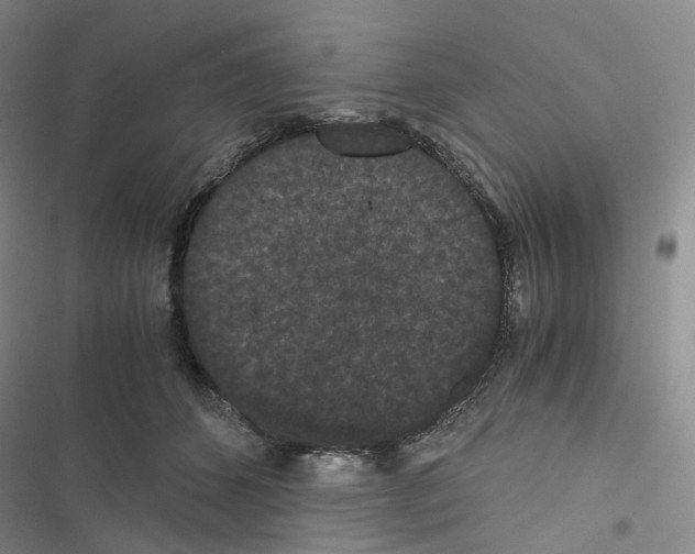 X0000116480512201001201345
