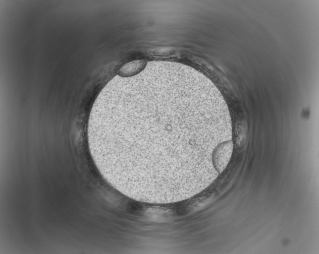 X0000116480515201001201345
