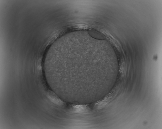 X0000116480516201001201345