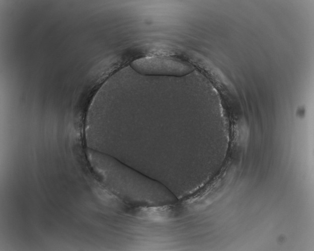 X0000116480517201001201345