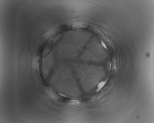 X0000116480519201001201345