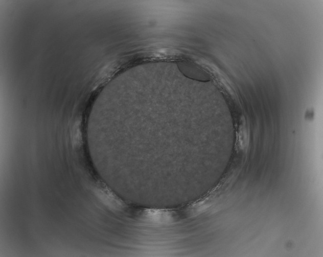 X0000116480520201001201345