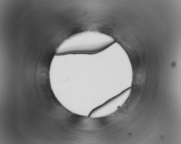 X0000116480521201001201345