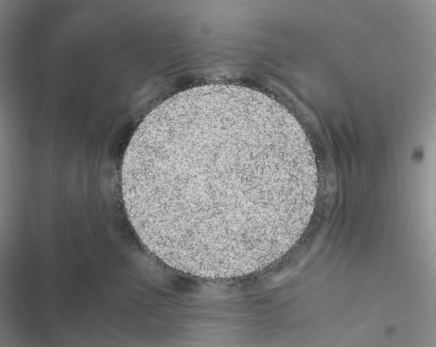 X0000116480523201001201345