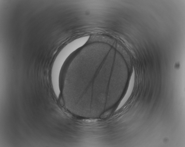 X0000116480524201001201345