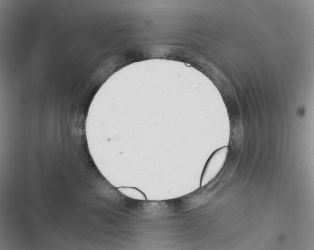 X0000116480525201001201345