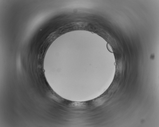 X0000116480526201001201345
